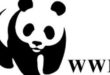 “GIORNATE DELLE OASI WWF”: IN PRIMO PIANO GLI IMPOLLINATORI E LA BIODIVERSITÀ