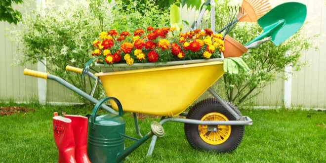 Lo shop online per il giardinaggio e l’agricoltura: Agrigarden