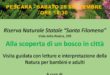 Tornano sabato e domenica gli eventi di Urban Nature, festa della natura in città Doppio appuntamento a Pescara e a Chieti tra gli alberi della Pineta e nelle sale del Museo