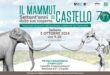 Sabato 5 novembre, ore 9.30 Convegno di studi IL MAMMUT DEL CASTELLO – SETTANT’ANNI DALLA SUA SCOPERTA Nuovi dati nel quadro dell’evoluzione ambientale del Pleistocene