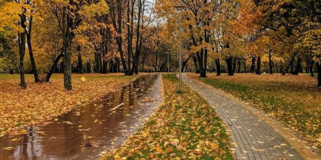 Meteo. L’Autunno si inoltra con la sua prima fase piovosa. Il tempo nei prossimi giorni